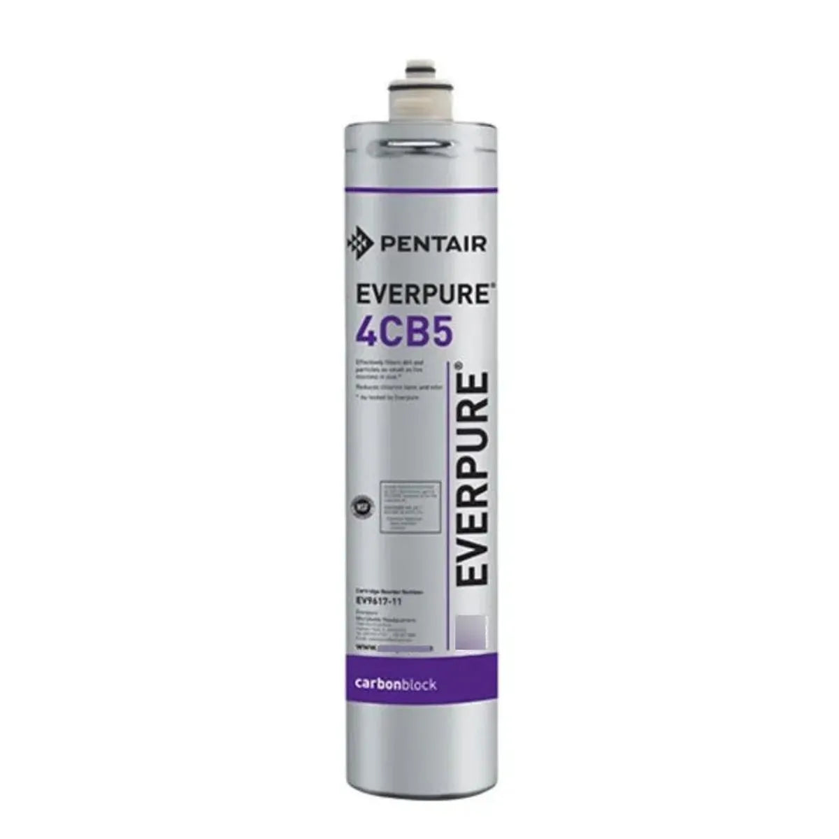 Everpure EV9617-16 Cartucho 4CB5 | Filtro para Kleensteam
